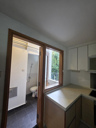 Urban Edge @ Holland V (D10), Apartment #516420741